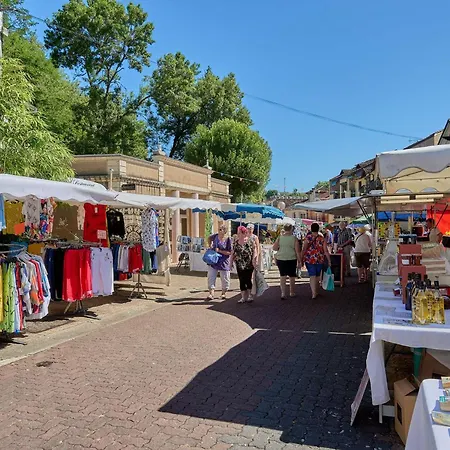 T2 Lumineux Avec Balcon, Wifi, Parking, Animaux Ok - Fr-1-841-62 巴布通莱班