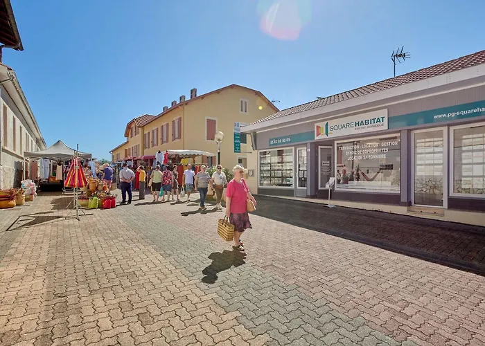 T2 Lumineux Avec Balcon, Wifi, Parking, Animaux Ok - Fr-1-841-62 *